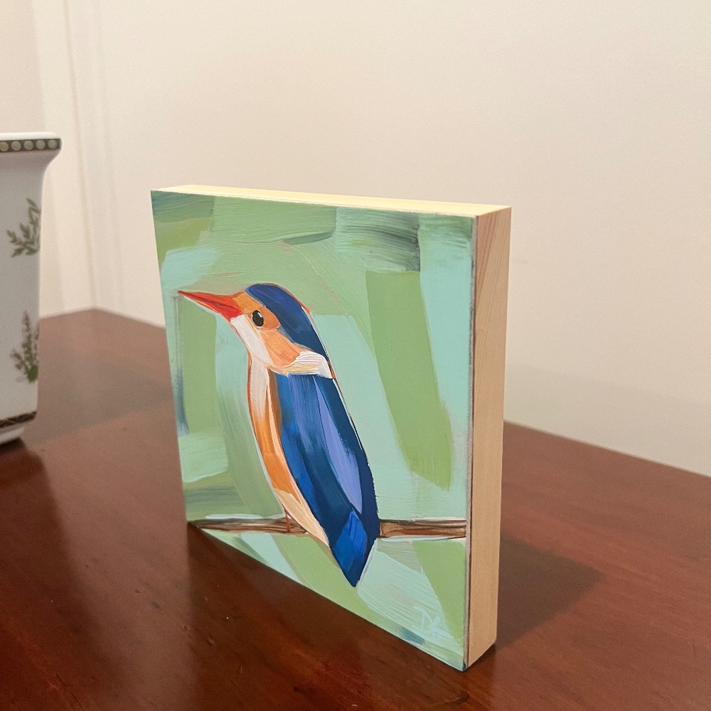 Kingfisher bird